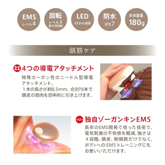 【BWJ特別プレゼント付き🎁】ZOGANKIN ゾーガンキンスカルプ本体 ※11/11〜18より順次発送予定