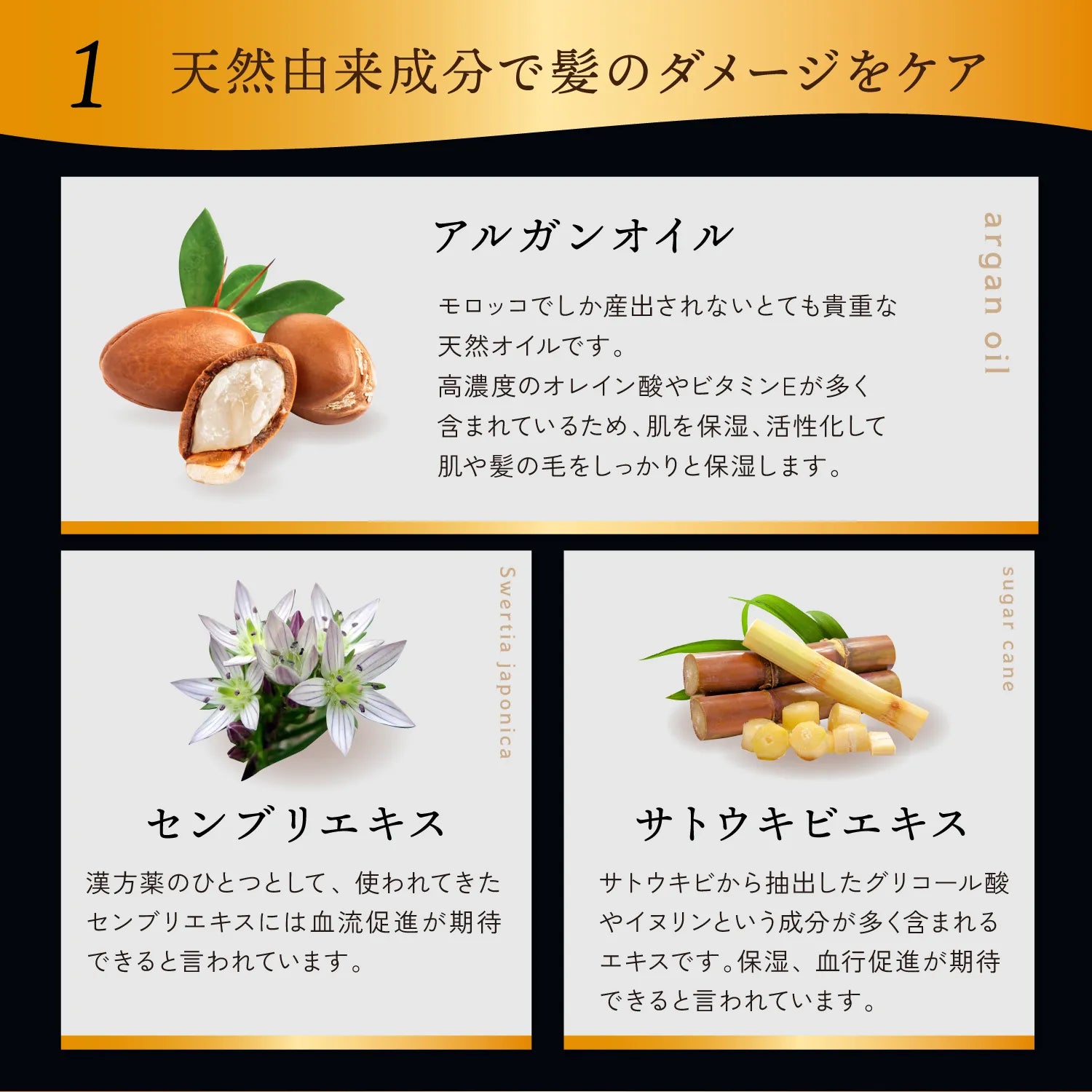 【KYOGOKU ★豪華特典付き】ブラックダイヤモンドシュプリーム+クリスタルスキンハイドロテックブライトニングマスク2枚 ※2/26〜3/4頃より順次発送