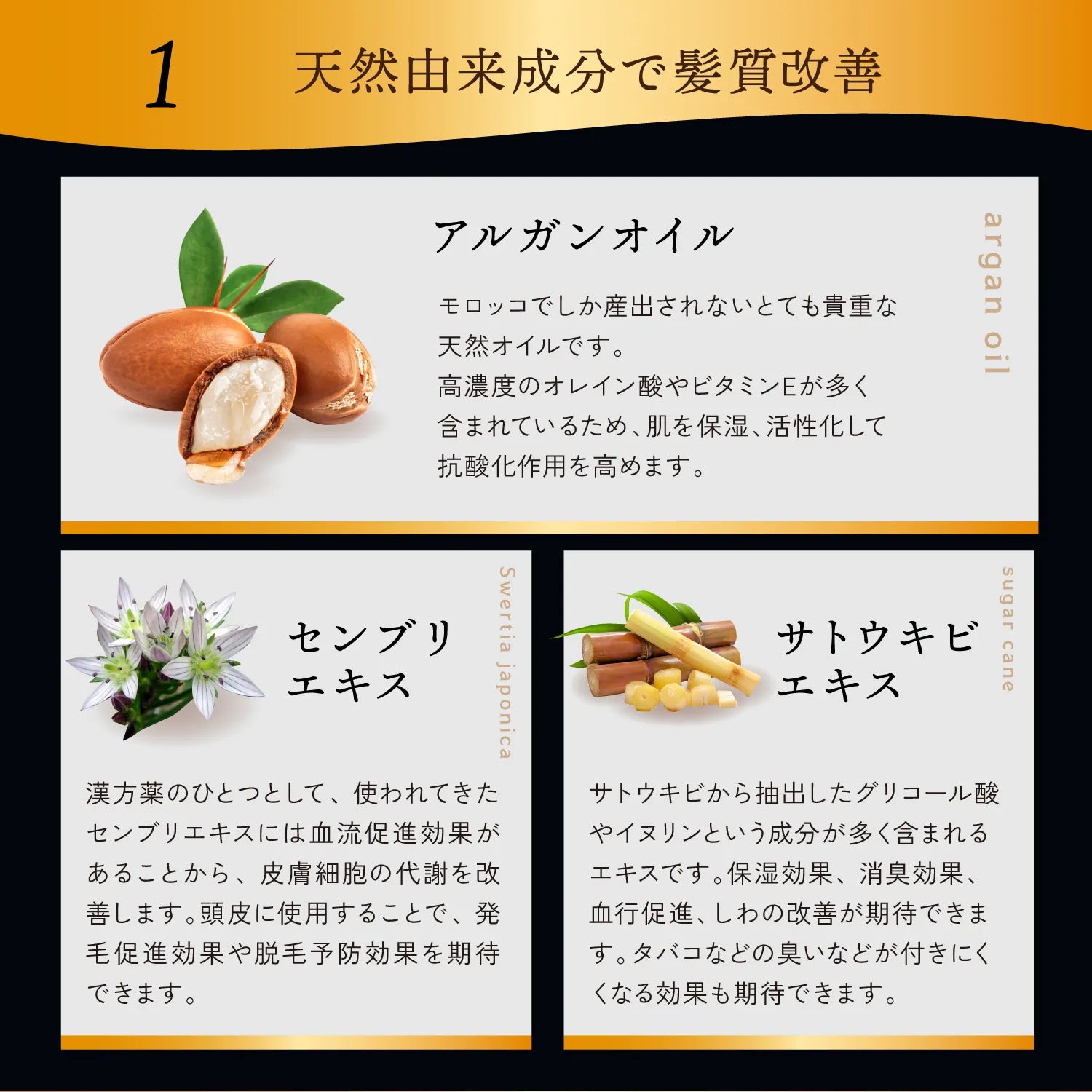 【KYOGOKU ★豪華特典付き】ブラックダイヤモンド スプレー ※11/12〜18より順次配送