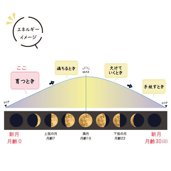 MoonEPSOM SALT(ムーンエプソムソルト)600g 新月の香 ※3/5~3/11より順次発送予定