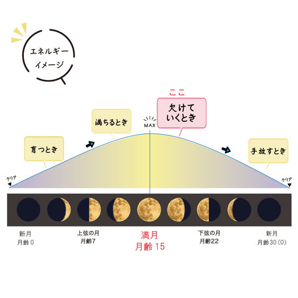 MoonEPSOM SALT(ムーンエプソムソルト)600g 満月の香 ※3/5~3/11より順次発送予定