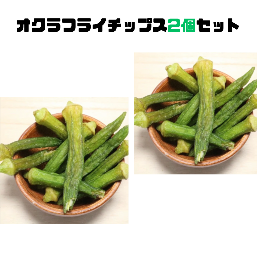 【げんき本舗】オクラフライチップ 2個セット ※2/4〜2/10頃より順次配送予定