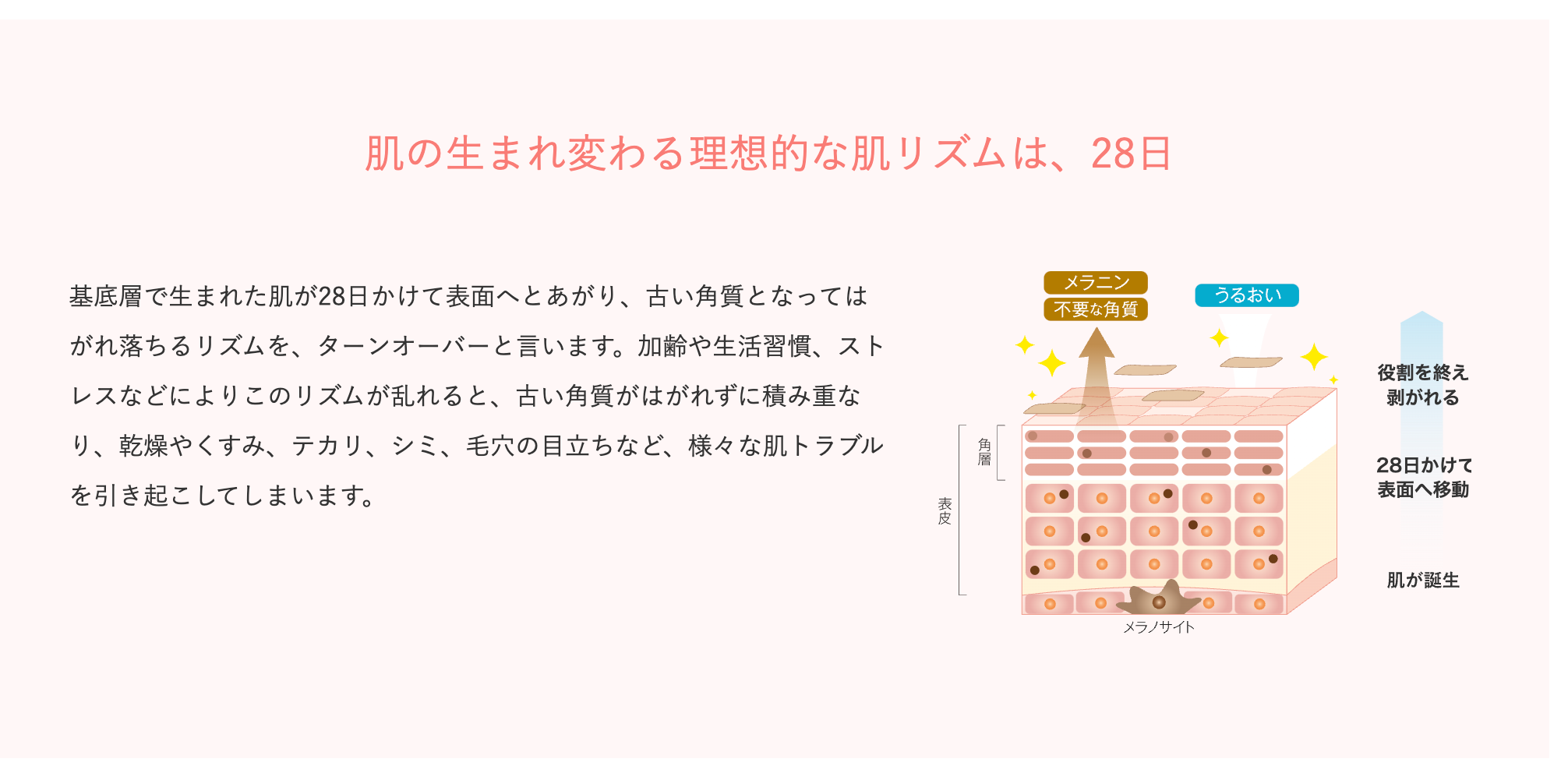 【2+1】RF28 三つの雫 トライアルキット ※3/26~4/1迄に順次発送予定