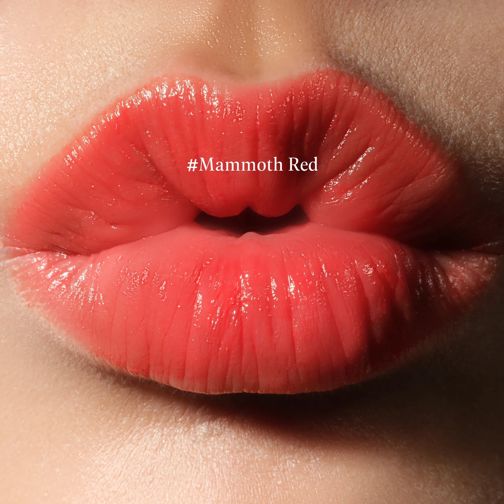 THE LIP Neo Anima #Mammoth Red(ザ リップ ネオ アニマ #マンモス レッド)※3/18~24迄に順次メーカーより発送