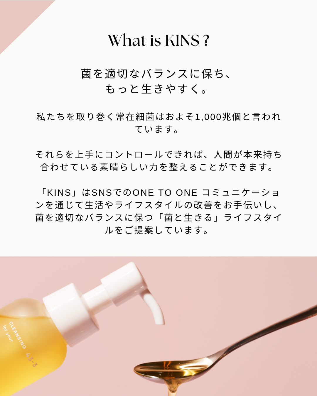 【⬆️ご購入はバナーから⬆️】KINS 特別クーポンキャンペーン ルール ※購入ページではありません