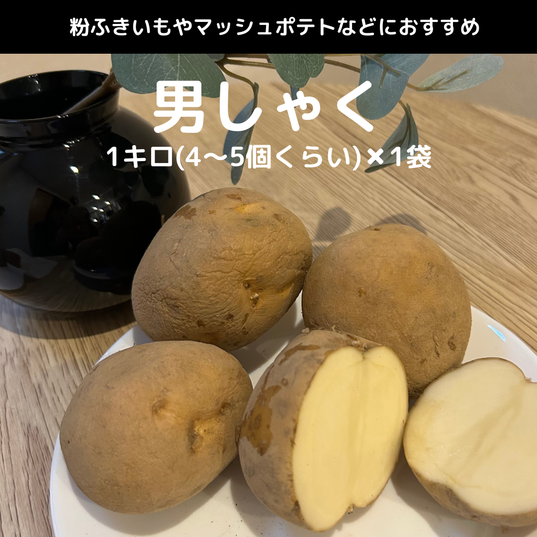 【北海道フェア 野菜部門🥬】じゃがいも 4種×各1㎏セット (インカのめざめ、北あかり、メークイン、男しゃく) ※5/25~31より順次発送予定