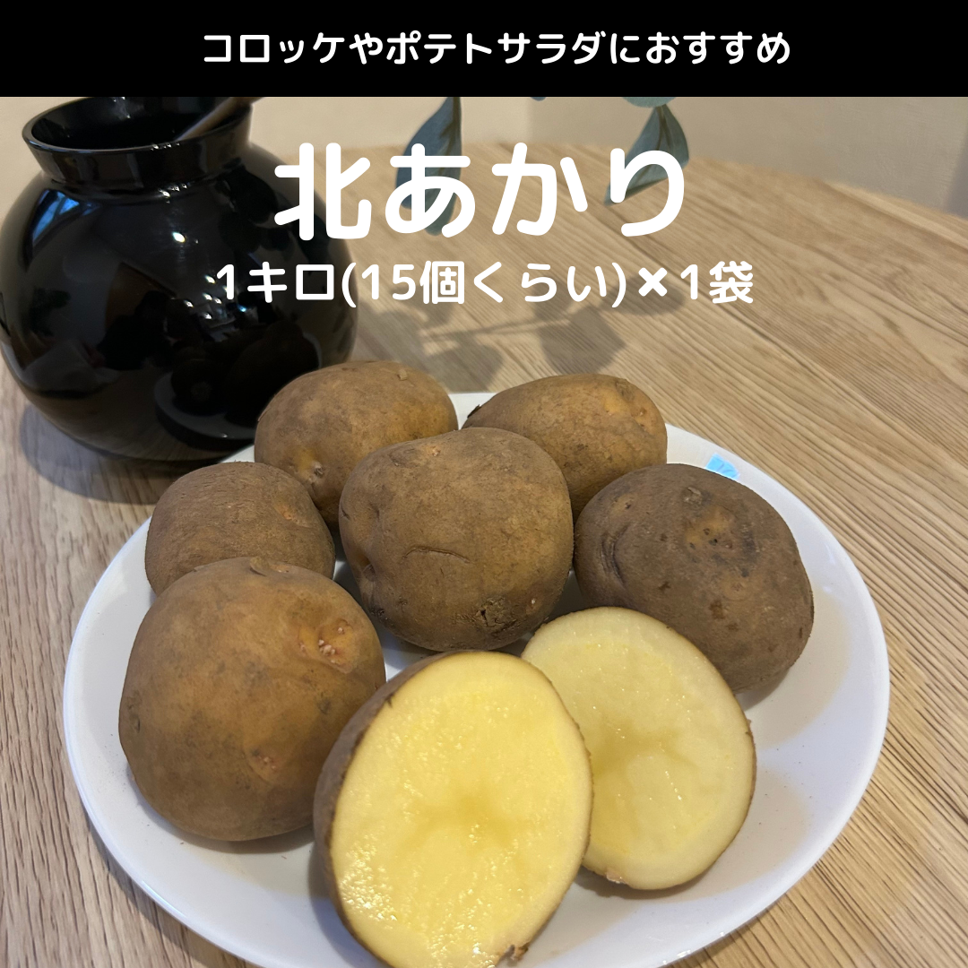 【北海道フェア 野菜部門🥬】じゃがいも 4種×各1㎏セット (インカのめざめ、北あかり、メークイン、男しゃく) ※5/25~31より順次発送予定