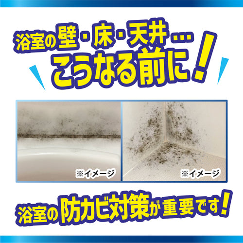 【LIBERTA】カビダッシュ【防カビバイオバスター】 ※7/23〜29迄に順次発送予定