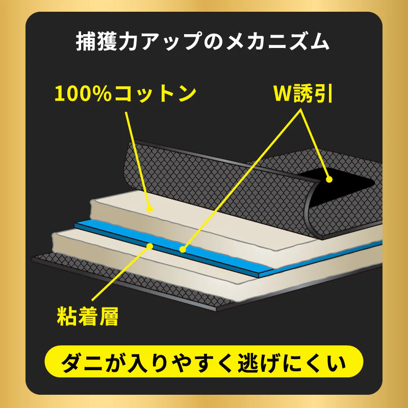 さよならダニーDX WEB限定(6枚入り) ※6/11-6/17より順次発送