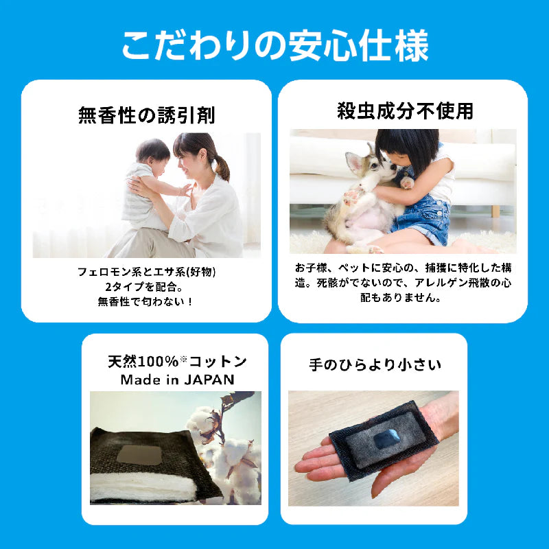 さよならダニーDX WEB限定(6枚入り) ※6/11-6/17より順次発送