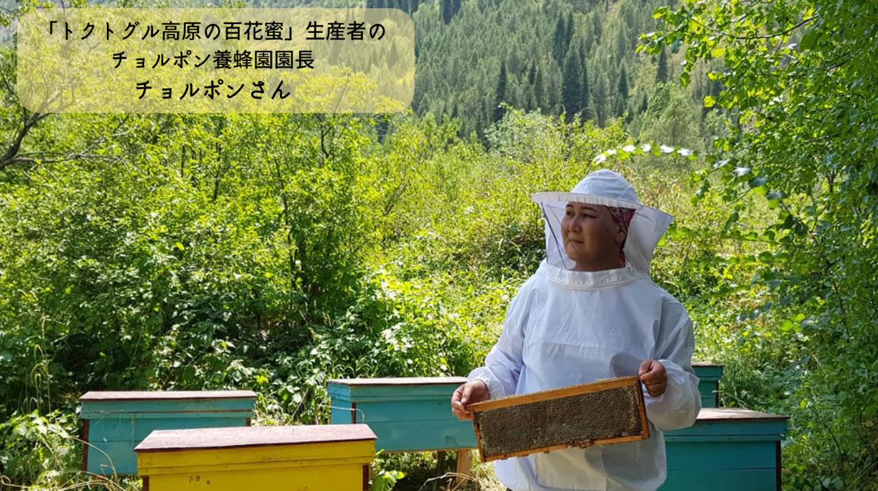 【ぞうねこちゃんねる限定価格】トクトグル高原 大アザミハニー(赤)※5月末頃配送