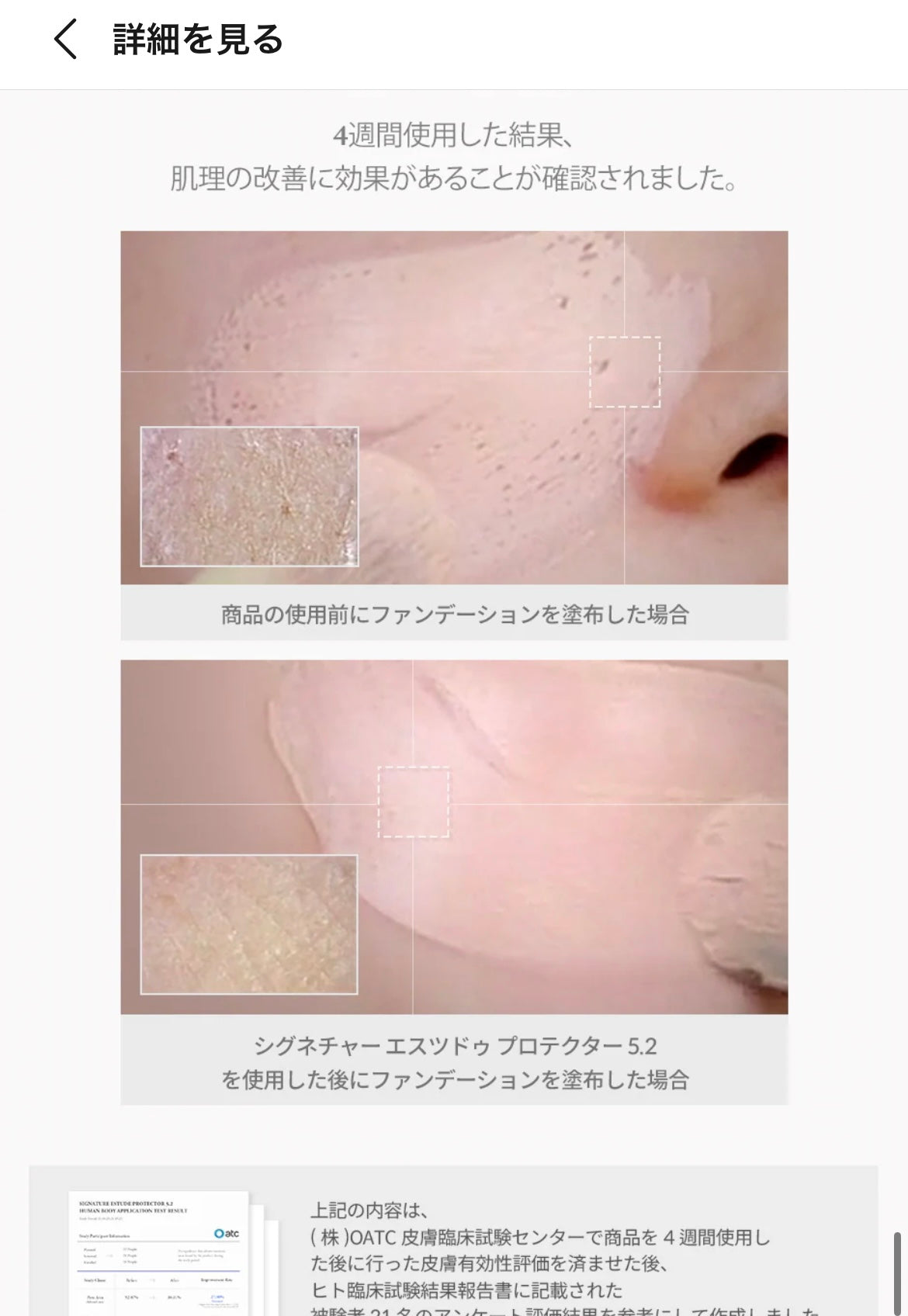 【DEMAR3】シグネチャーエストゥードプロテクター5.2 ※1/14-20頃より配送予定