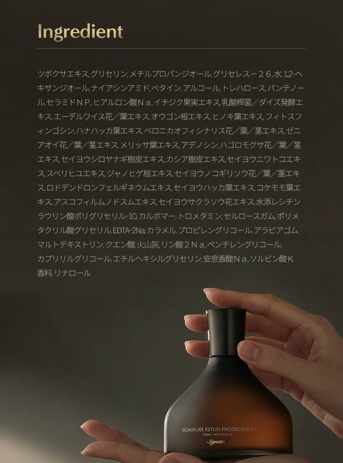 【DEMAR3】シグネチャーエストゥードプロテクター5.2 ※1/14-20頃より配送予定