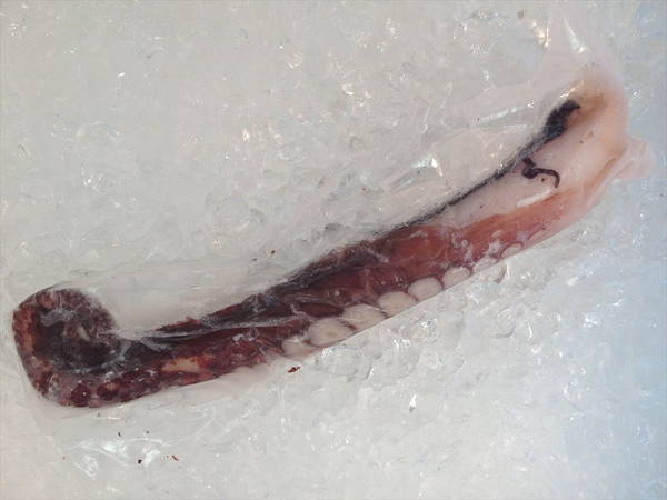 【北海道フェア 水産部門🐟】冷凍ボイルタコ足 1本袋 ※5/25~31より順次発送予定 (クーポン対象商品)