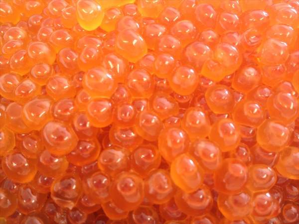 【北海道フェア 水産部門🐟】鮭醤油いくら 500g /pc 冷凍 ※5/25~31より順次発送予定 (クーポン対象商品)