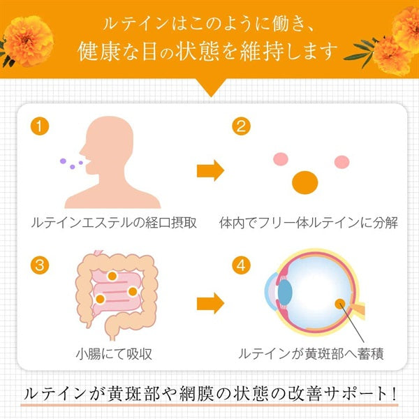 【機能性表示食品】日常生活で受ける光の刺激から保護します ひとみの恵み ルテイン40 60粒 ※8/6〜12迄に順次発送予定