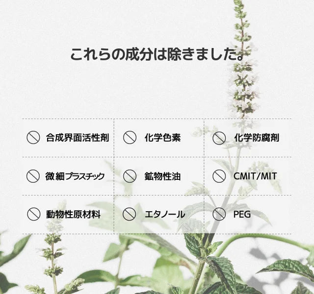 【Vontee】ボンティー固体歯磨き粉 スペアミント 30粒(21g) ※10/21-28より順次発送予定