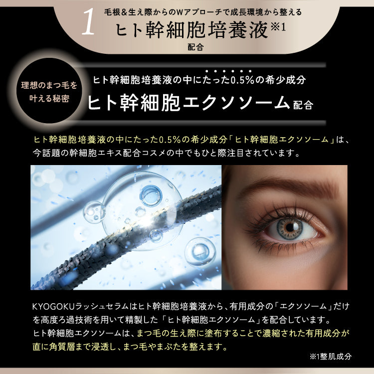 【1+1】【KYOGOKU】ラッシュセラム まつげ美容液 2.5ml ※8/6~12迄に順次発送予定