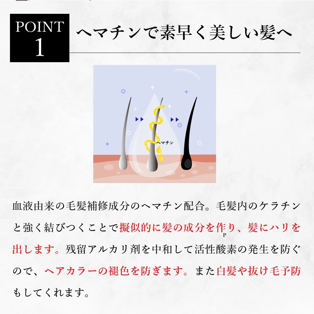 【KYOGOKU ★豪華特典付き】シグネチャーシャンプー+シグネチャートリートメント ※2/26〜3/4頃より順次発送