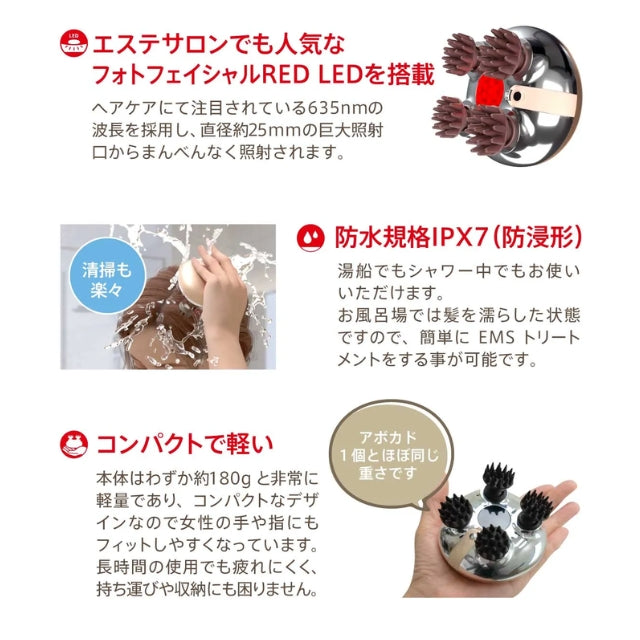 【BWJ特別プレゼント付き🎁】ZOGANKIN ｿﾞｰｶﾞﾝｷﾝｽｶﾙﾌﾟ本体　※11/11〜18より順次発送予定