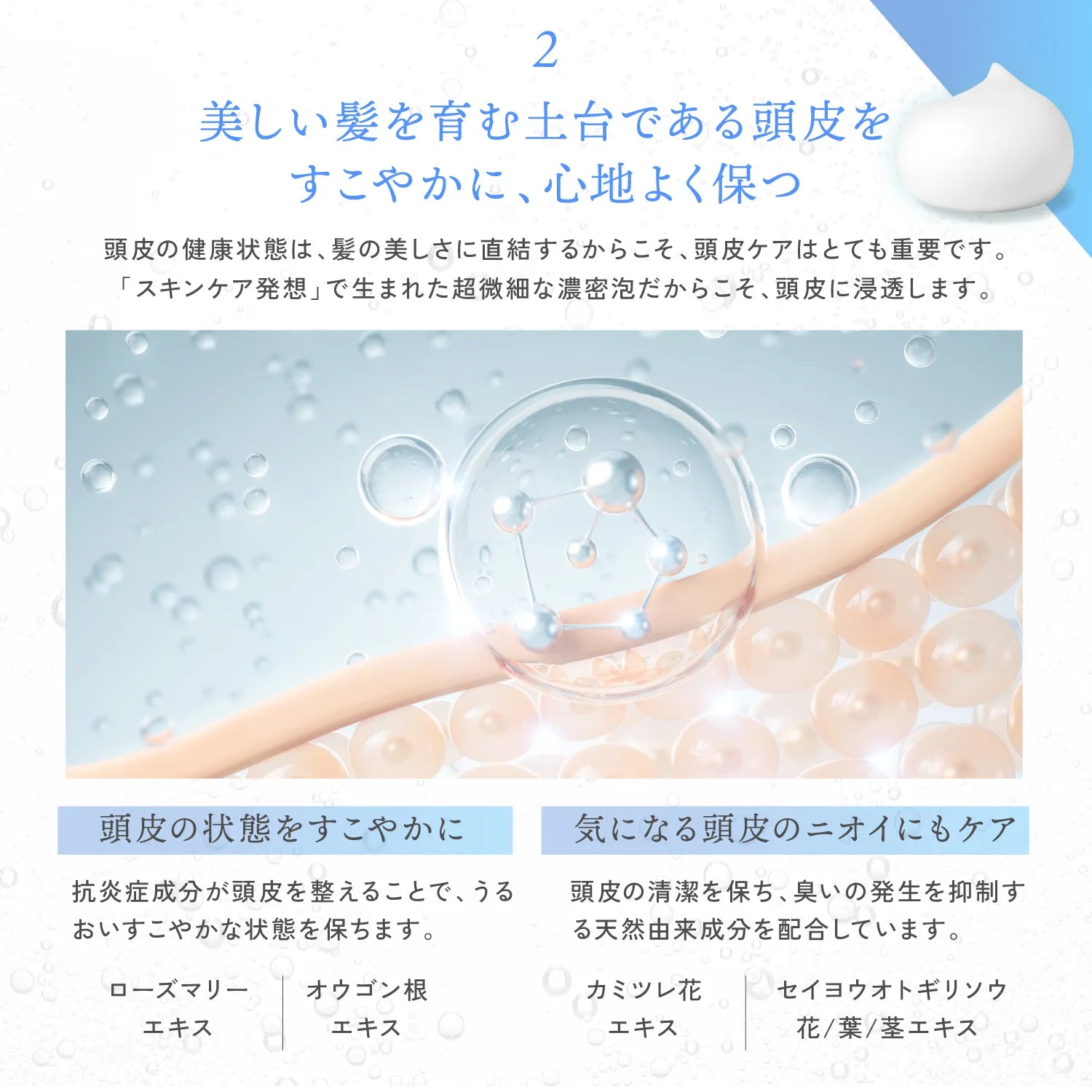 【KYOGOKU ★豪華特典付き】バイオシステムフォーム(炭酸シャンプー)　※11/12〜18より順次配送