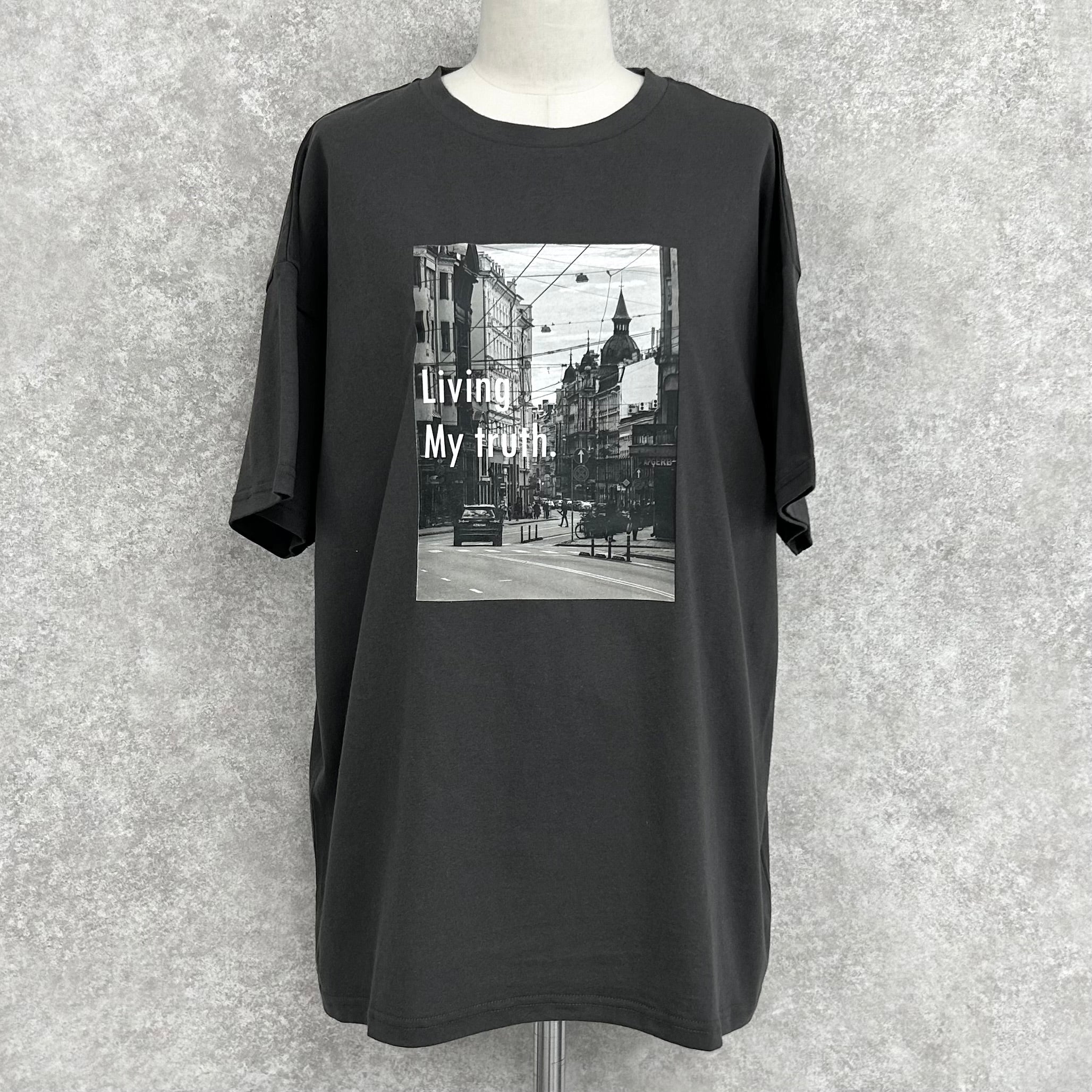 DDD-ZAKURO 6袋セット　ぞうねこちゃんねる すべての商品