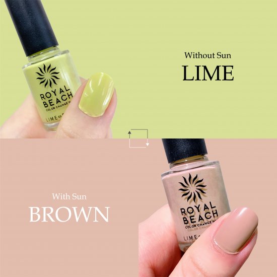 ROYALBEACHｶﾗｰﾁｪﾝｼﾞﾈｲﾙC-12 LIME・BROWN　※6/25-7/1頃より順次配送
