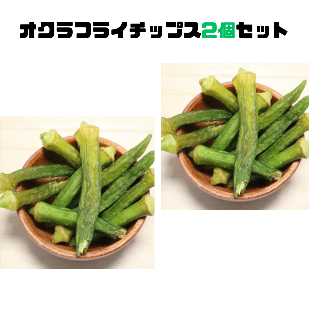 賞味期限切迫商品2024/08/19【げんき本舗】オクラフライチップ 2個セット  ※7/23-29より順次発送予定  賞味期限:2024/08/19