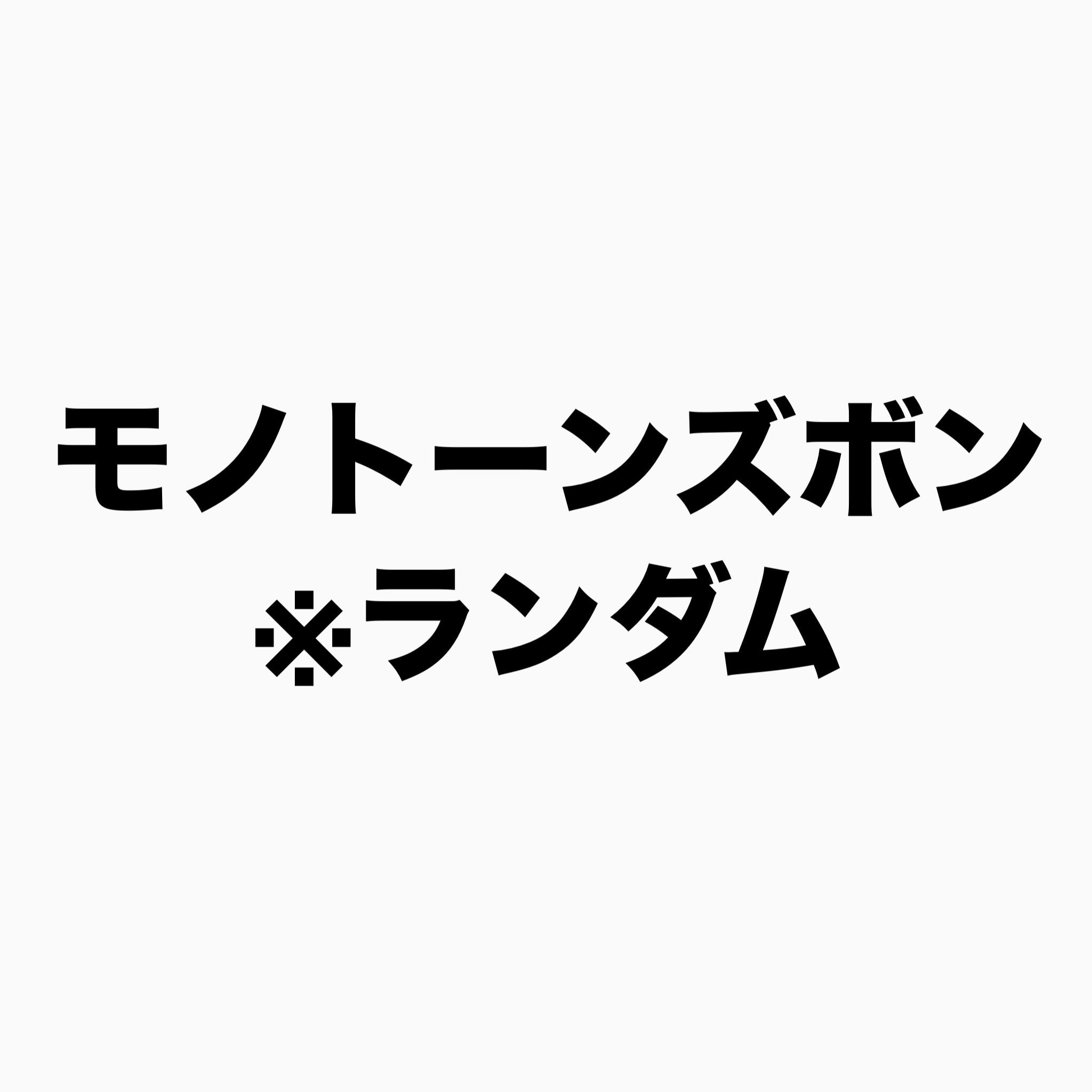 ランダムモノトーンズボン　⚠️複数購入で同じものが届く可能性あります　※2/12~2/17頃より順次発送予定