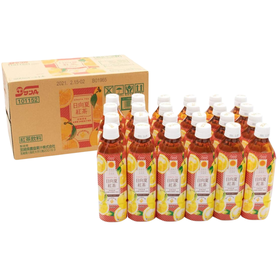 日向夏紅茶 500ml PET 24本セット　※6/25〜7/1迄に順次発送予定