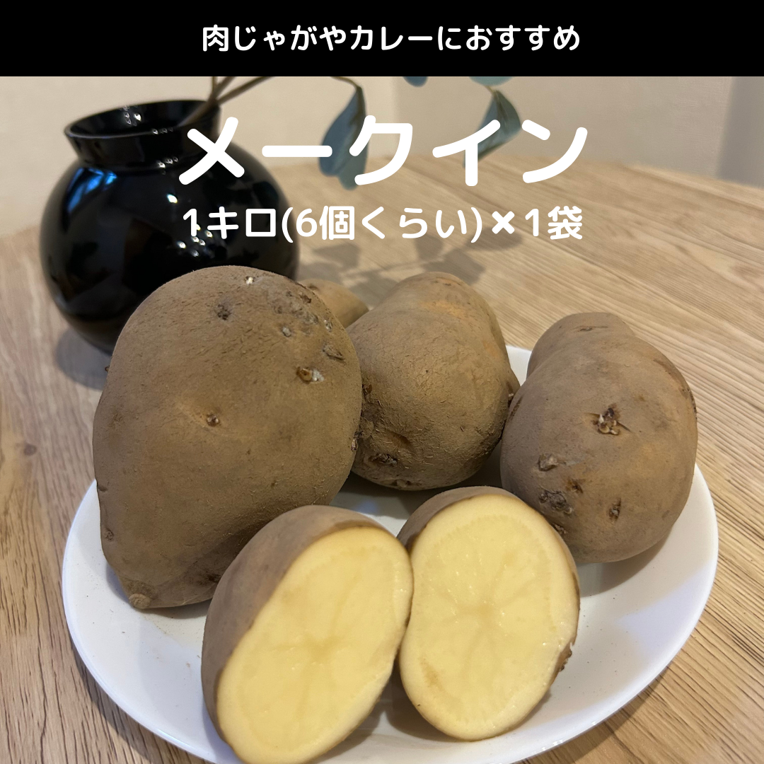 【北海道フェア　野菜部門🥬】じゃがいも　4種×各1㎏セット　(インカのめざめ、北あかり、メークイン、男しゃく)　※5/25~31より順次発送予定