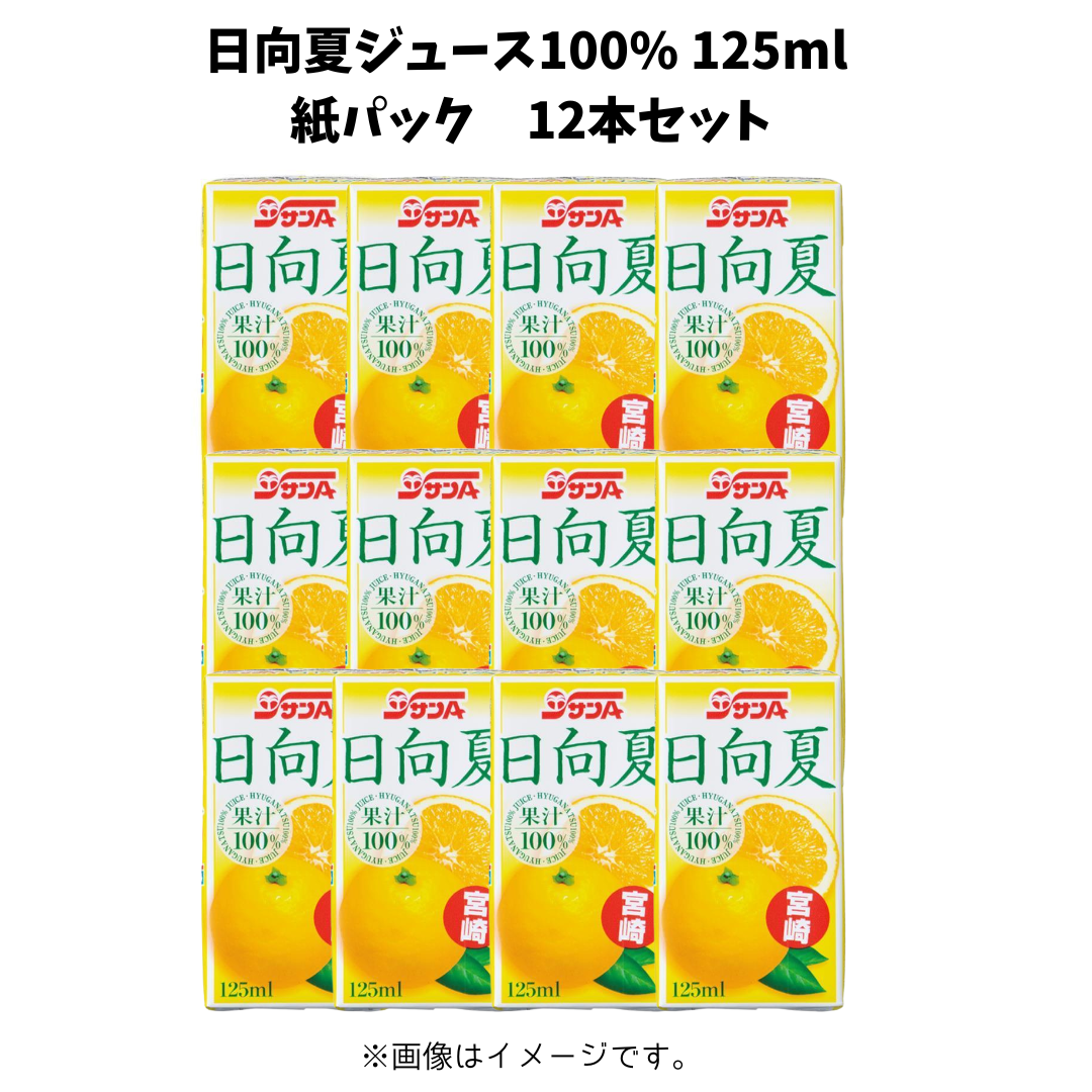 日向夏ジュース100%　125ml 紙パック12本セット　※6/25〜7/1迄に順次発送予定