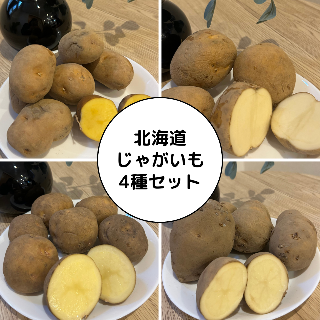 【北海道フェア　野菜部門🥬】じゃがいも　4種×各1㎏セット　(インカのめざめ、北あかり、メークイン、男しゃく)　※5/25~31より順次発送予定