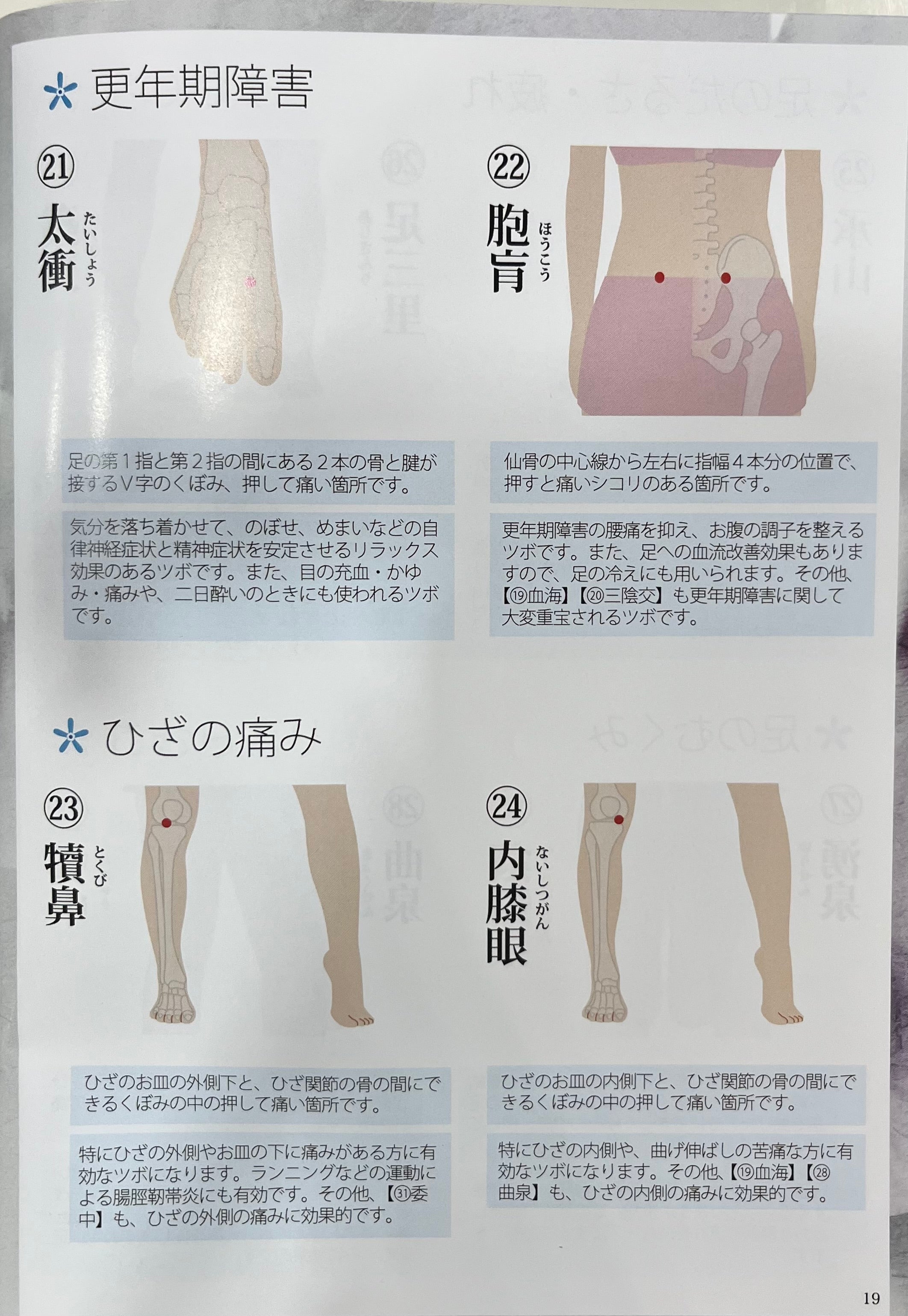 SOMANIKS（ソマニクス）ソマレゾン mini(顔用) 10個入り　※5/21-27迄に順次発送予定
