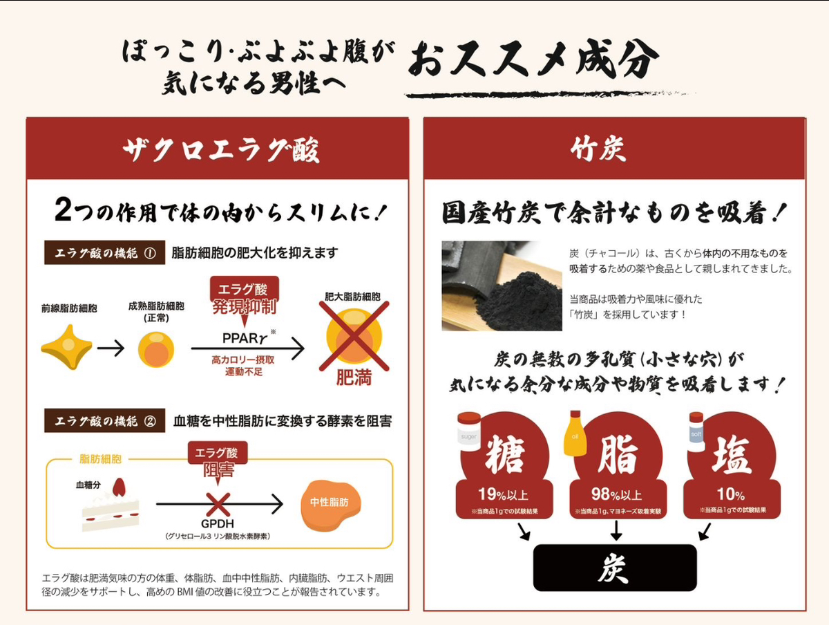 ぞうねこちゃんねる