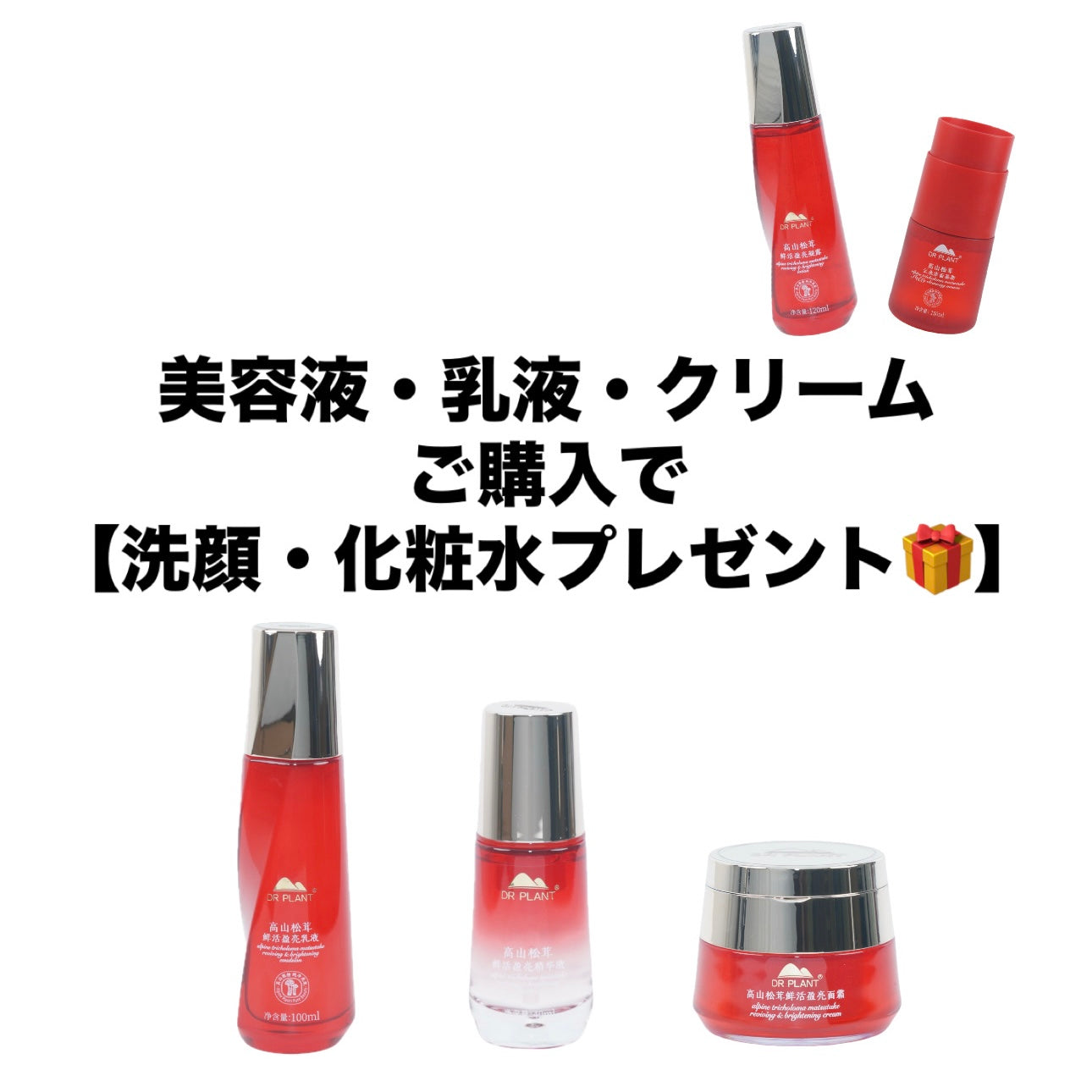 マツタケスキンケアフルセットご購入で【洗顔+化粧水】🎁　※11/22~28頃メーカーより順次配送