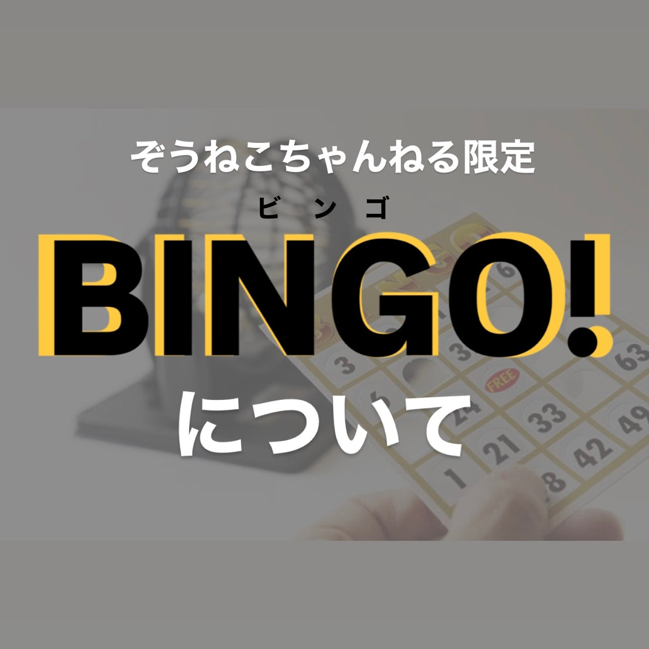 【ビンゴ大会について】ルール説明