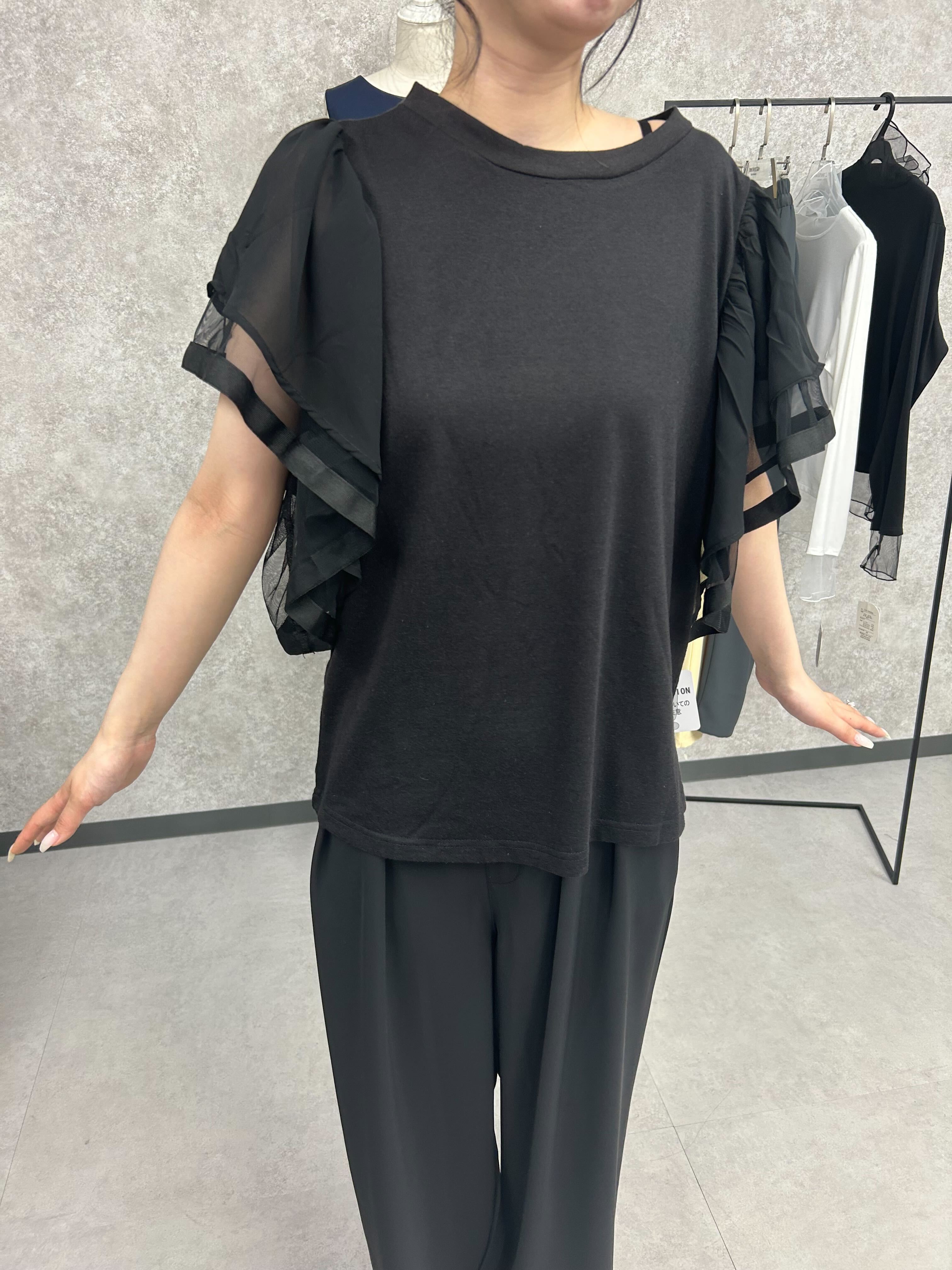 袖シアーフリルブラウスTシャツ  -ブラック-　※4/30~5/6頃より頃順次配送