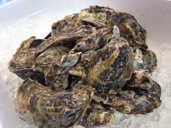【北海道フェア　水産部門🐟】殻付き牡蠣 2Lサイズ　10個入/pc　※5/25~31より順次発送予定　（クーポン対象商品）