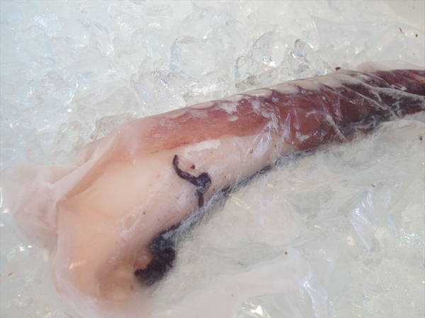 【北海道フェア　水産部門🐟】冷凍ボイルタコ足 1本袋　※5/25~31より順次発送予定　（クーポン対象商品）