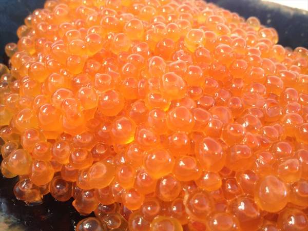 【北海道フェア　水産部門🐟】鮭醤油いくら　500g /pc　冷凍　※5/25~31より順次発送予定　（クーポン対象商品）