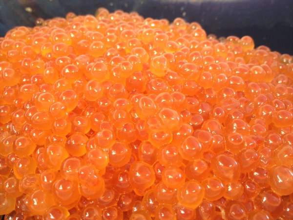 【北海道フェア　水産部門🐟】鮭醤油いくら　500g /pc　冷凍　※5/25~31より順次発送予定　（クーポン対象商品）