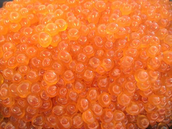 【北海道フェア　水産部門🐟】鮭醤油いくら　500g /pc　冷凍　※5/25~31より順次発送予定　（クーポン対象商品）
