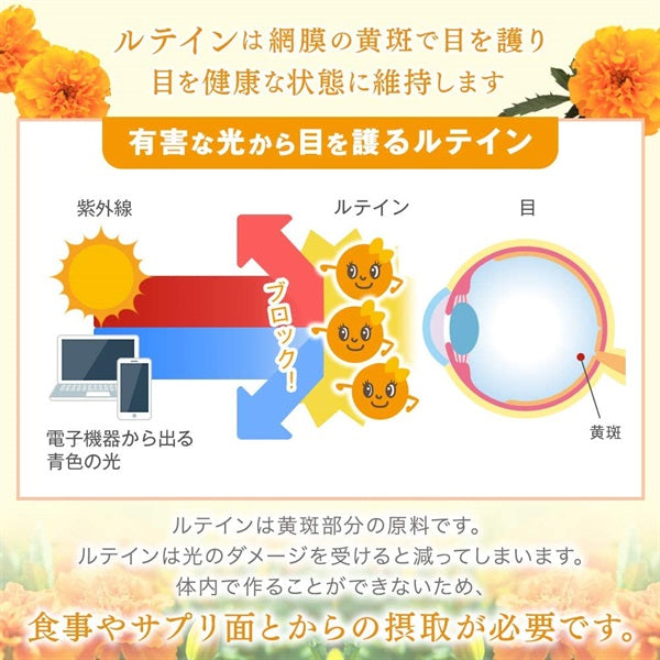 【機能性表示食品】日常生活で受ける光の刺激から保護します　ひとみの恵み　ルテイン４０　60粒　※8/6〜12迄に順次発送予定