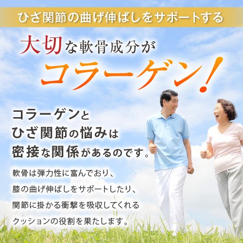 【機能性表示食品】ひざ関節の柔軟性に　非変性Ⅱ型コラーゲン　ＵＣ－Ⅱ　250粒  　※8/6〜12迄に順次発送予定