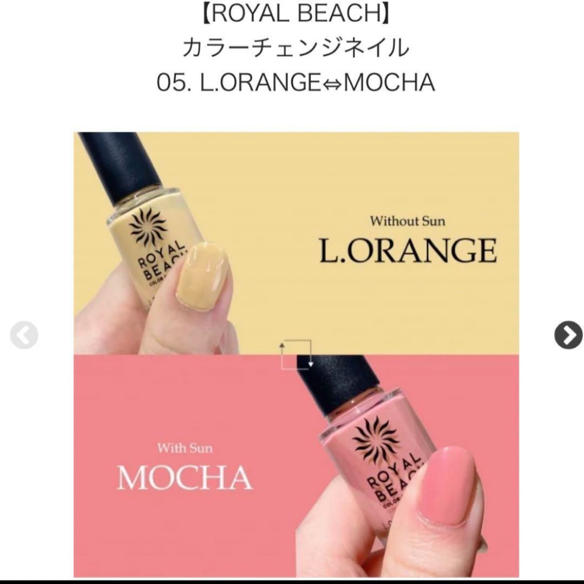 ROYALBEACHｶﾗｰﾁｪﾝｼﾞﾈｲﾙC-05 L.ORANGE・MOCHA　※6/25-7/1頃より順次配送