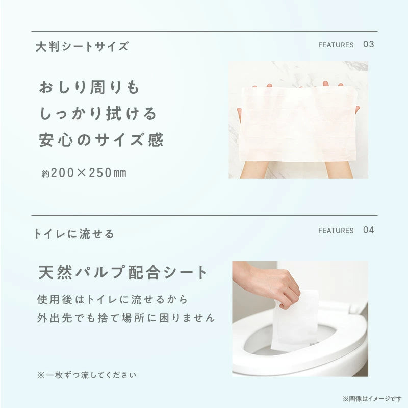 NTパーソナルケアシート10枚×2/無香料　※7/30-8/5迄に順次発送予定