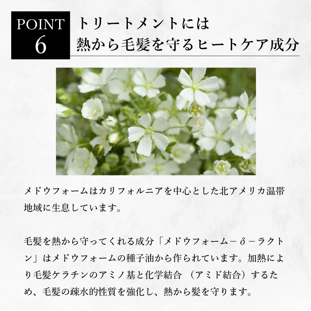 【KYOGOKU ★豪華特典付き】シグネチャーシャンプー＋シグネチャートリートメント　※2/26〜3/4頃より順次発送