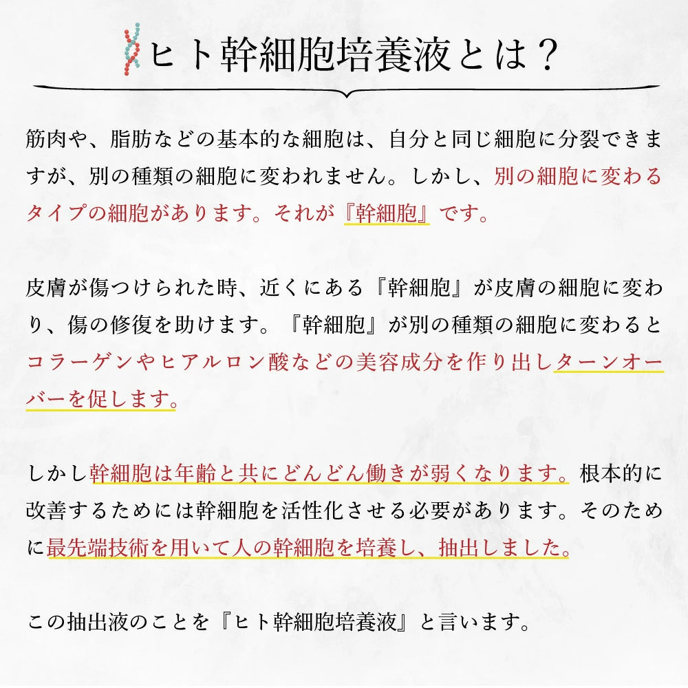 【KYOGOKU ★豪華特典付き】シグネチャーシャンプー＋シグネチャートリートメント　※2/26〜3/4頃より順次発送