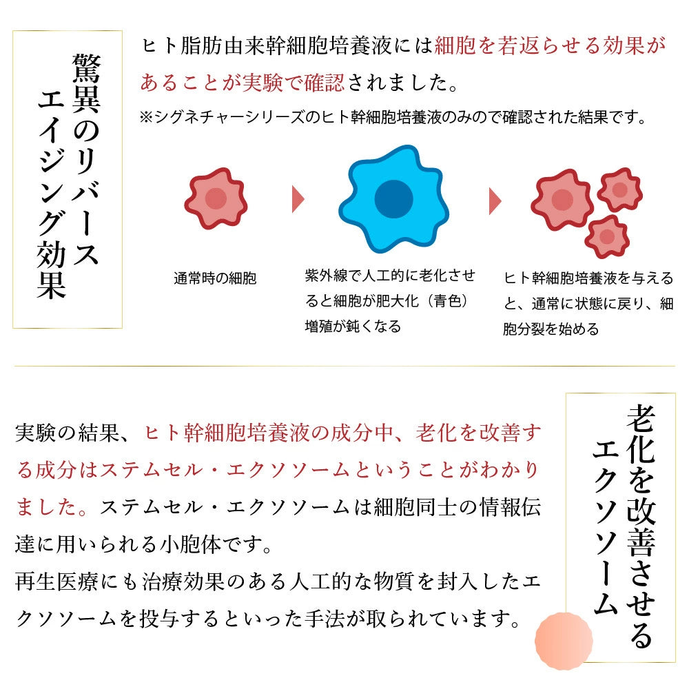 【KYOGOKU ★豪華特典付き】シグネチャーシャンプー＋シグネチャートリートメント　※2/26〜3/4頃より順次発送